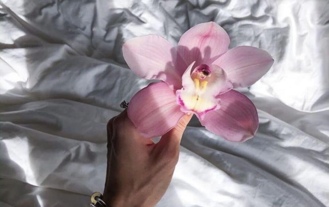 Por qué el amor propio es el pilar de tu vida